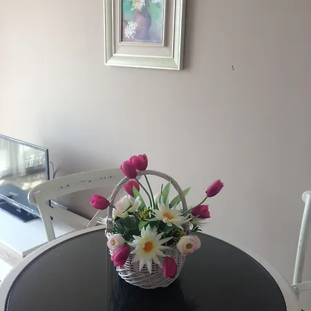 Admiral Plaza Sunny Beach