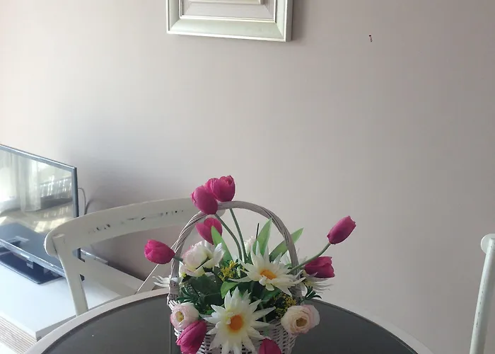 Admiral Plaza Солнечный берег